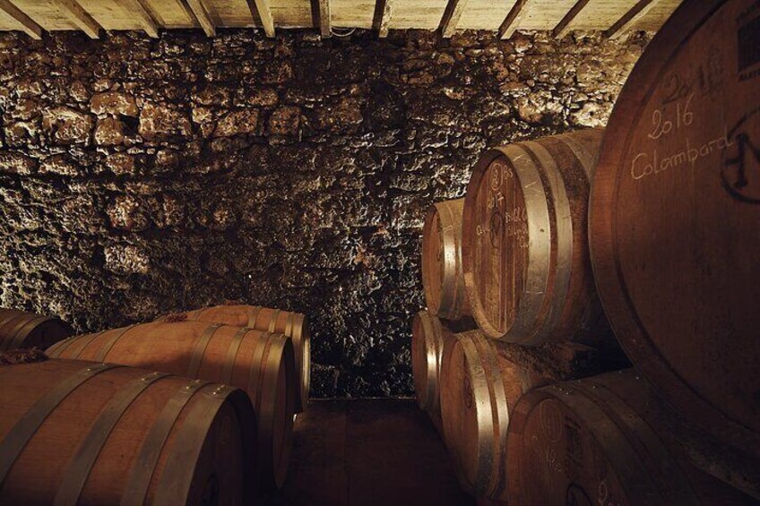 Visit and wine tasting: The Musketeers' wine