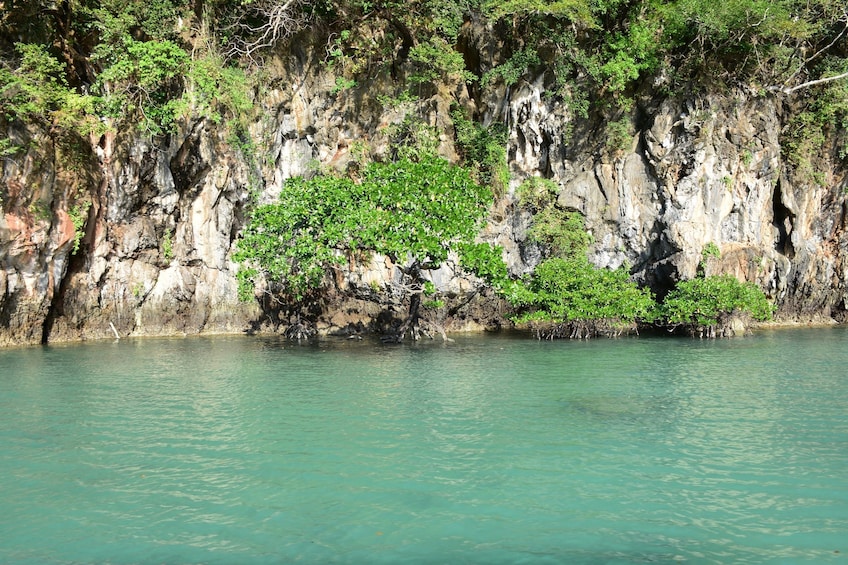 Private Hong Island Speed Boat Tour by Sea Eagle from Krabi