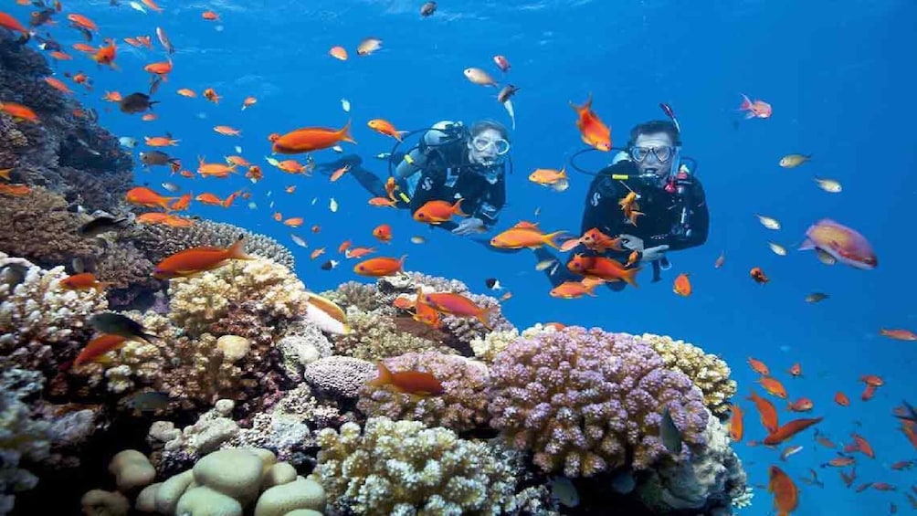 Show item 5 of 10. Full day Exploring 3-island tour from Nha Trang