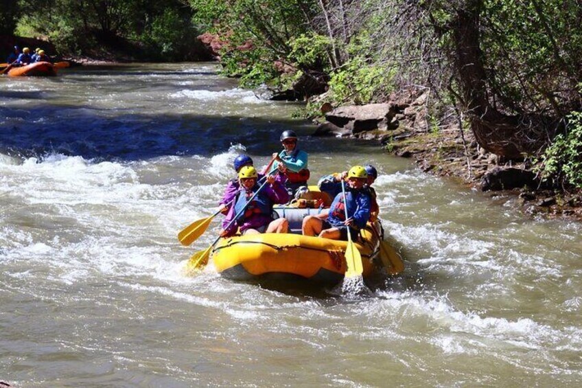 Half day Rafting Tour in Telluride San Miguel River