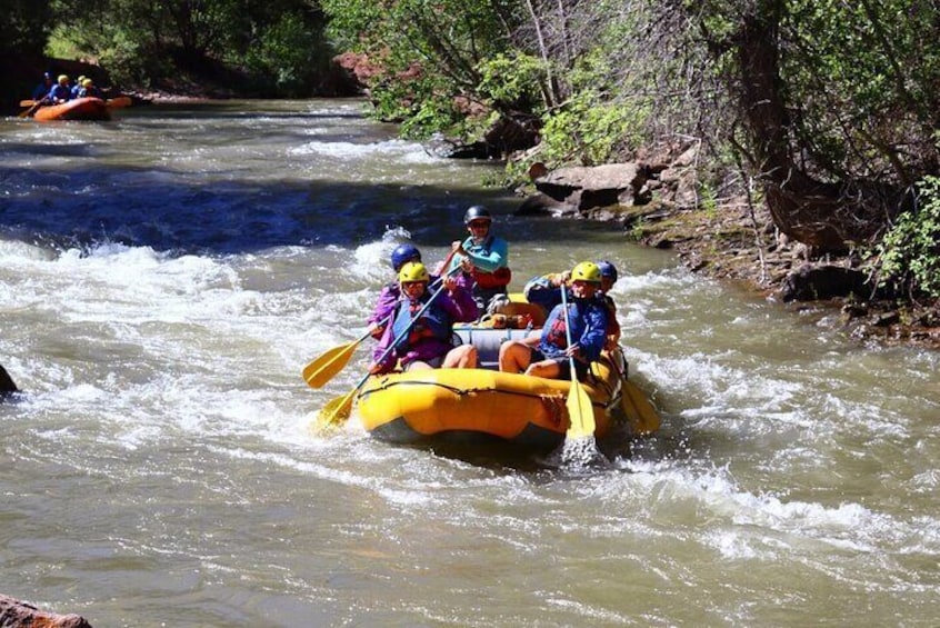 Half day Rafting Tour in Telluride San Miguel River