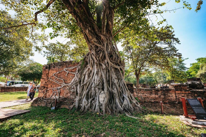 Picture 2 for Activity From Bangkok: Ayutthaya Temples Small Group Tour with Lunch