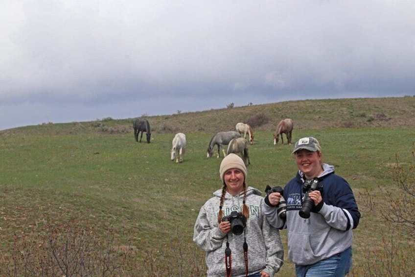 Half Day Chasing Horses Wildlife Photography Experience in North Dakota