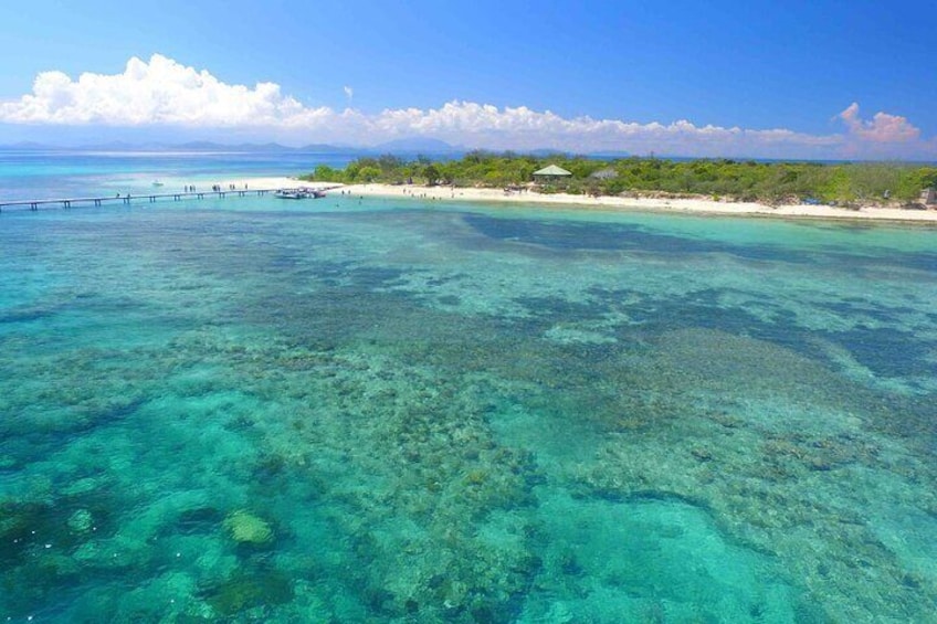 Full-Day Nouméa Signal Island Turtle Tour