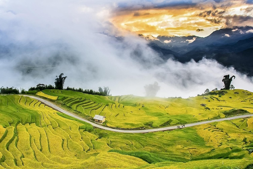 Hill Tribe Visit on Bicycle 2 Days Tour