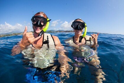 Kauai's Ultimate Guided Shore Snorkeling Adventure