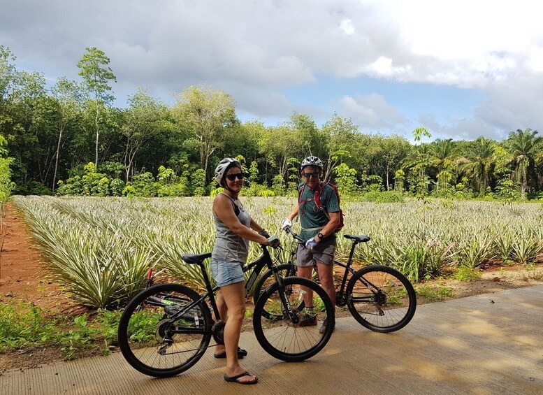 Picture 3 for Activity Krabi: Cycling Tour To Krabi