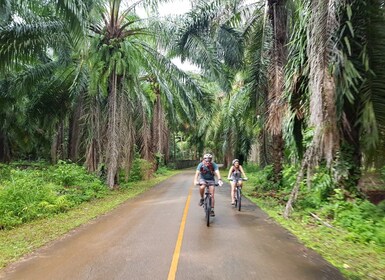 Krabi: Fietstocht naar Krabi