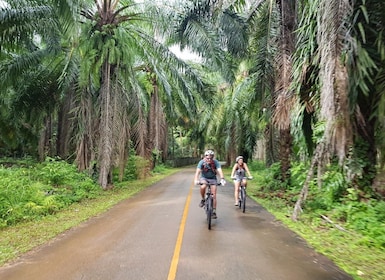 Krabi: Sykkeltur til Krabi