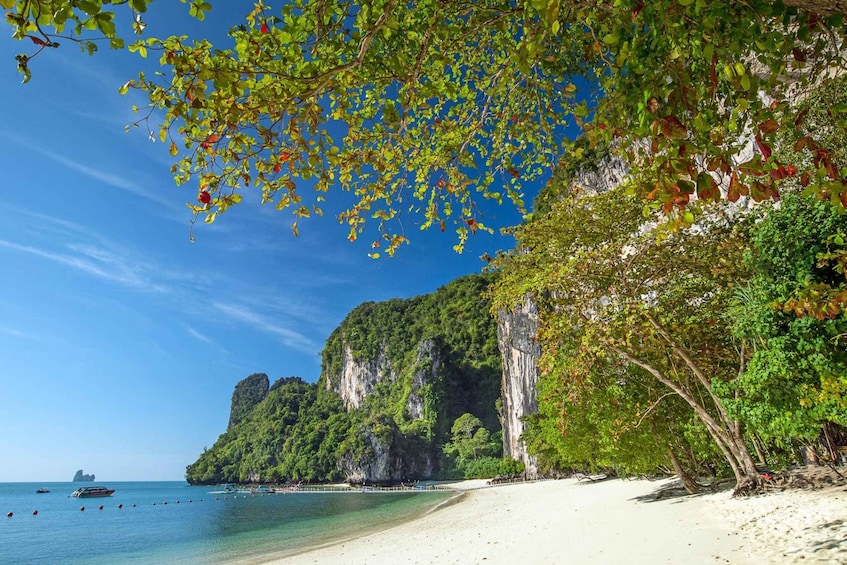 Picture 10 for Activity From Koh Yao Noi: Hong Island Half-Day Long-Tail Boat Tour