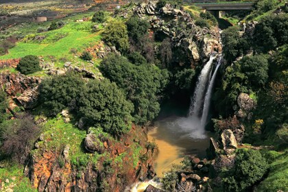 Visite privée des hauteurs du Golan de Tel Aviv