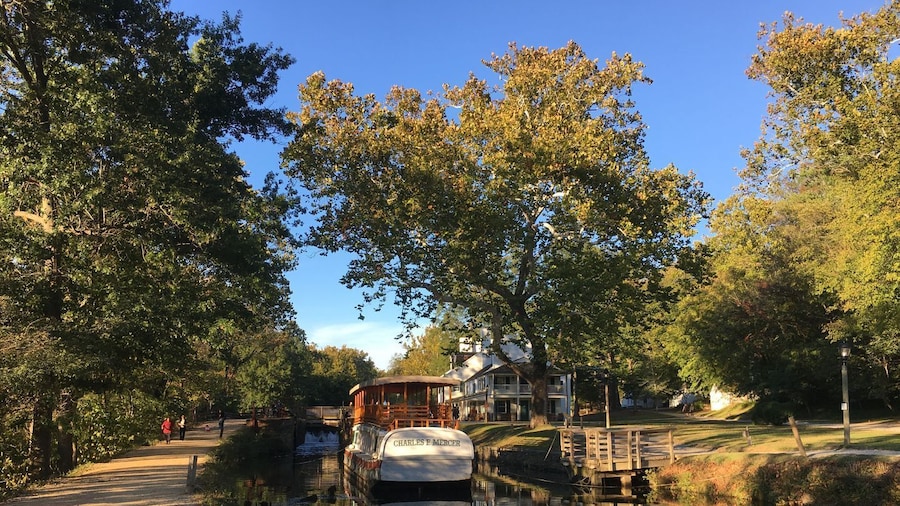 Georgetown in 3 Hours with In-App Audio Tour