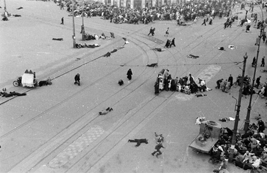 Picture 4 for Activity Amsterdam: Anna Frank and World War II History Walking Tour