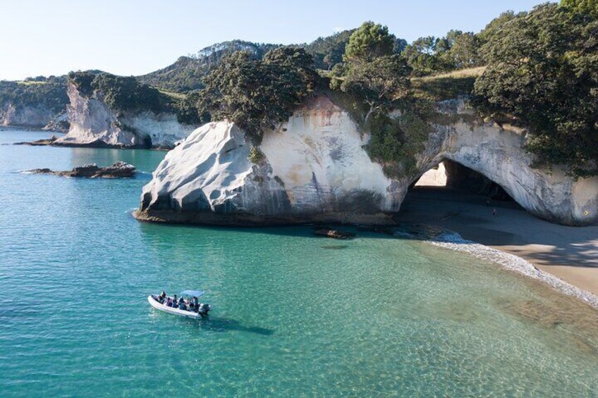 Visit the World famous Cathedral Cove.