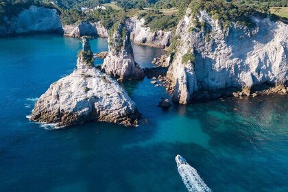 Sea Cave Adventures in the Coromandel