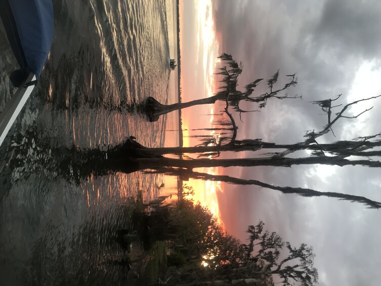 One Hour Sunset Cruise of the Chain of Lakes Winter Haven