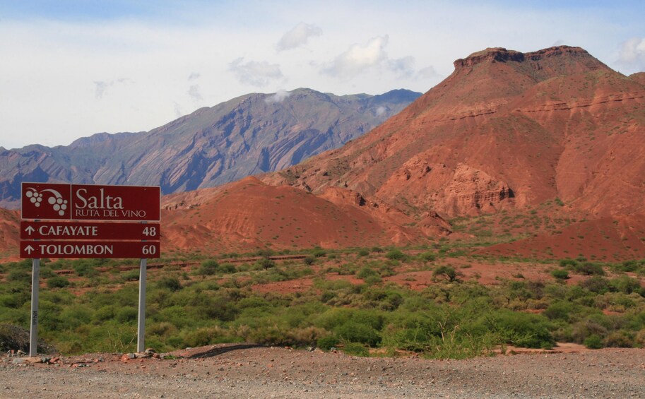 Premium Cafayate Wine Route