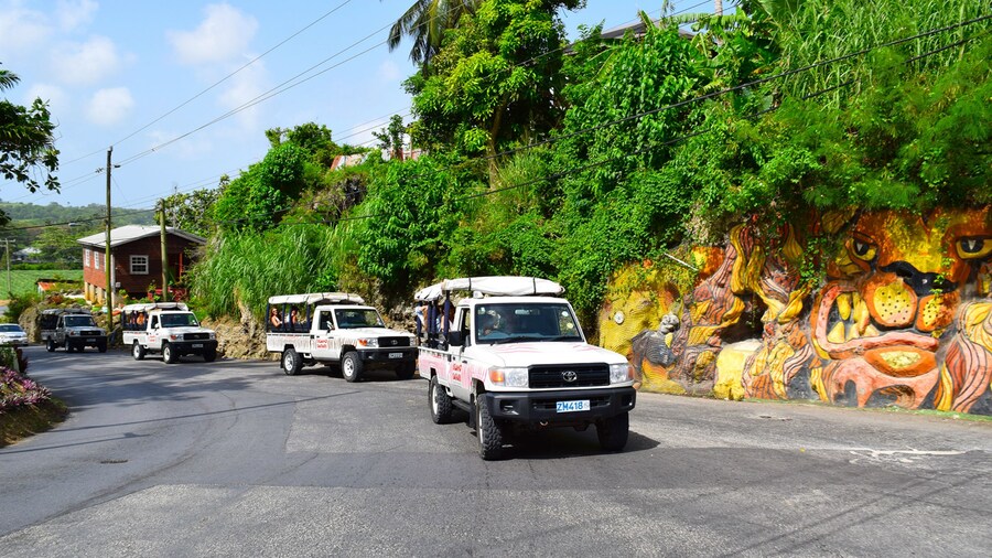 Row of touring vehicles in Barbados