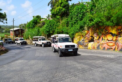 Discover Barbados 4x4 Jeep Highlight