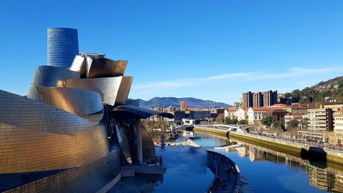 Bilbao: Guggenheim Bilbao museum Ticket included in spanish