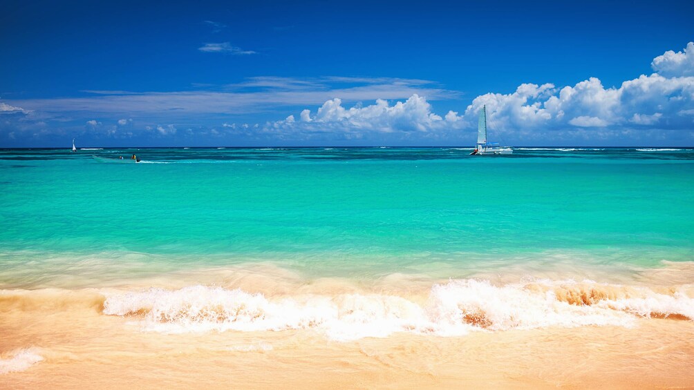 Full Day Caribbean Saona Island by Catamaran and Speed Boat