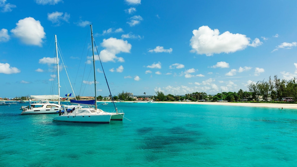 Full Day Caribbean Saona Island by Catamaran and Speed Boat