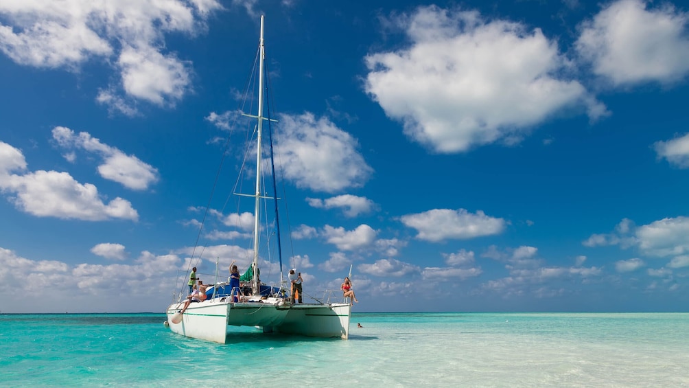 Full Day Caribbean Saona Island by Catamaran and Speed Boat