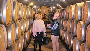 The Wine Trail Tour + Wine Cave Tour