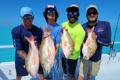 Tour de pesca de medio día en Key West