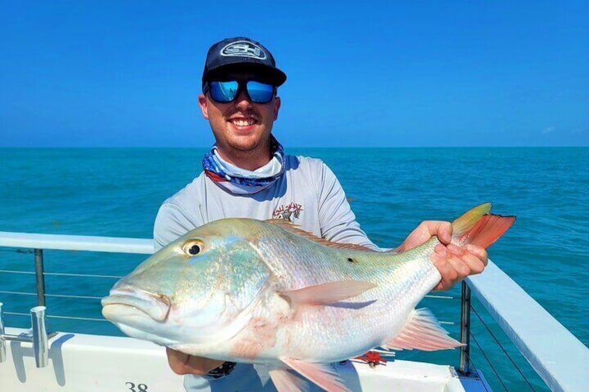 Half-Day Fishing Tour in Key West