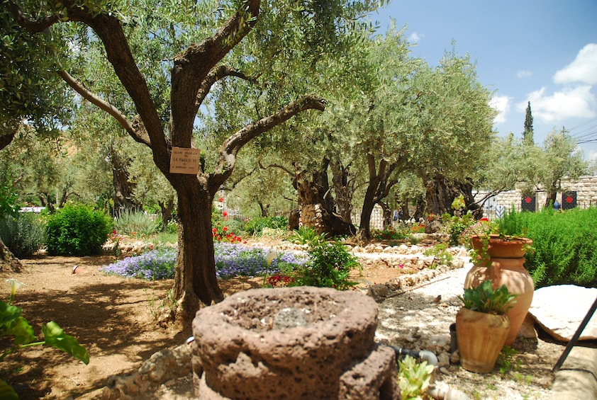 Jerusalem in the Footsteps of Jesus Day Tour