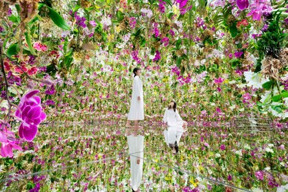 teamLab Planetas TOKIO: Entrada al Museo de Arte Digital