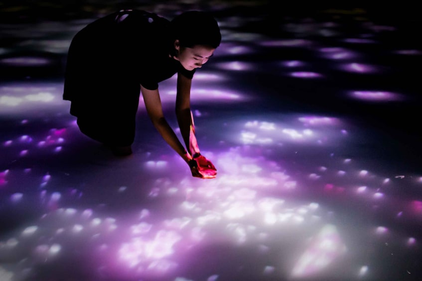 Picture 2 for Activity teamLab Planets TOKYO: Digital Art Museum Entrance Ticket