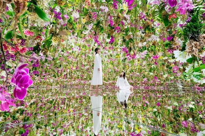 teamLab Planets TOKYO: Digitaalisen taiteen museon pääsylippu