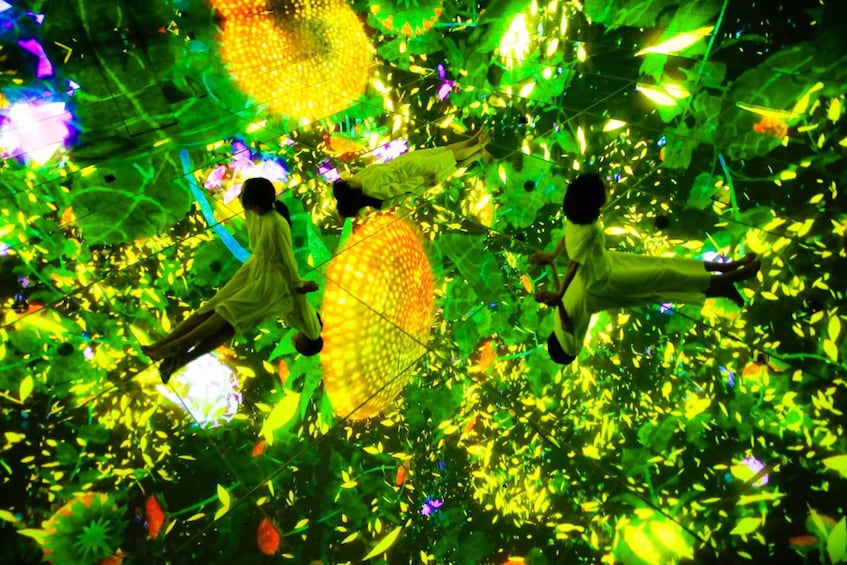 Picture 6 for Activity teamLab Planets TOKYO: Digital Art Museum Entrance Ticket