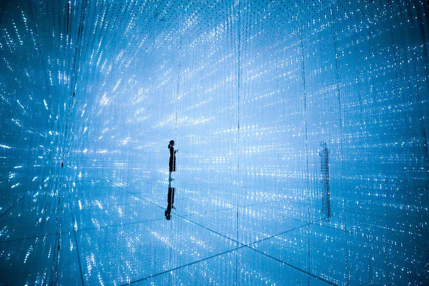 Picture 4 for Activity teamLab Planets TOKYO: Digital Art Museum Entrance Ticket