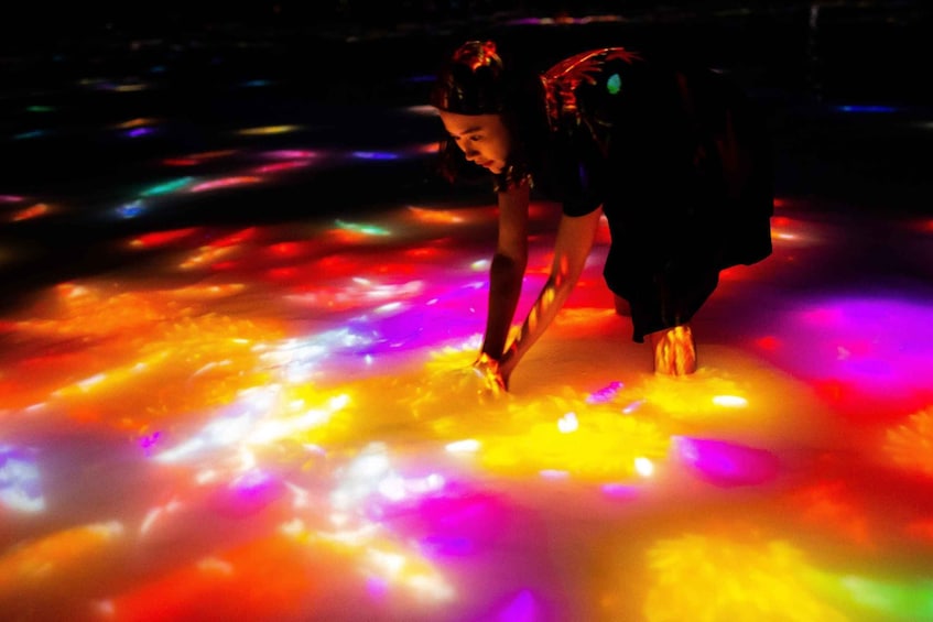 Picture 4 for Activity teamLab Planets TOKYO: Digital Art Museum Entrance Ticket