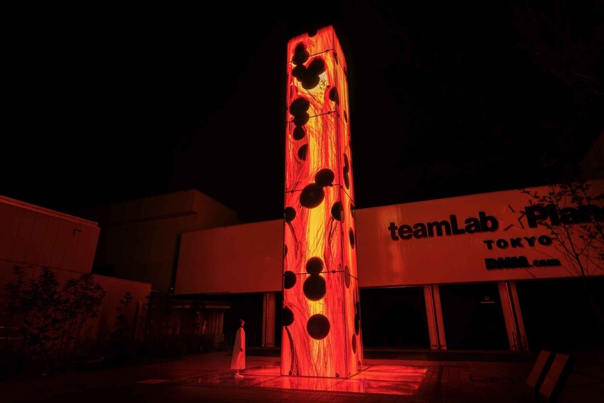 Picture 9 for Activity teamLab Planets TOKYO: Digital Art Museum Entrance Ticket