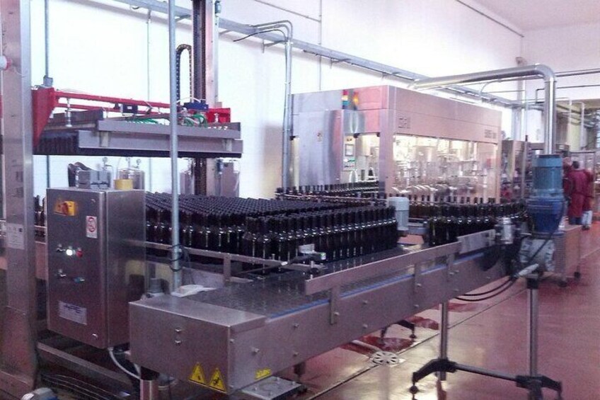 Visit to a Winery with Wine tasting in Salento