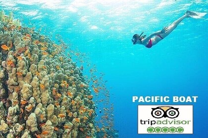 Cham island snorkelling tour