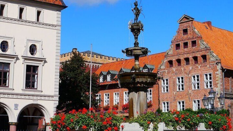Lüneburg Private Guided Walking Tour With a professional guide