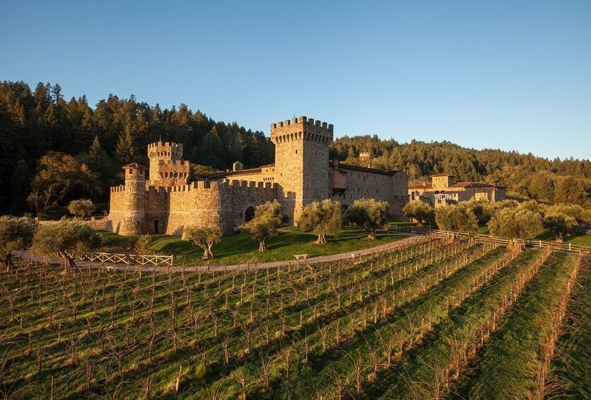 napa wine tasting tours castle