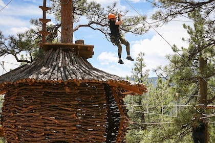 2 hours Aerial Adventure Park in Bailey