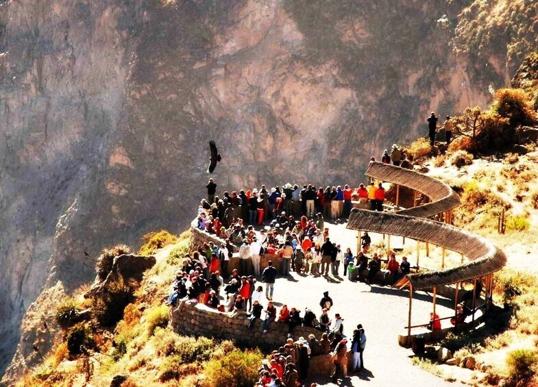 Large group of tourists stand on platform overlooking Colca Canyon, Peru