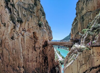 Costa del Sol: viaje guiado al Caminito del Rey