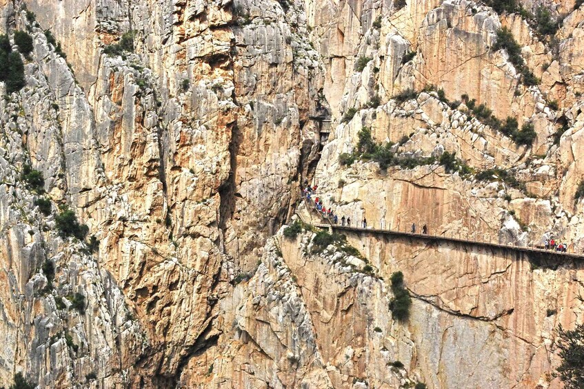 Picture 5 for Activity Costa del Sol: Caminito del Rey Guided Trip