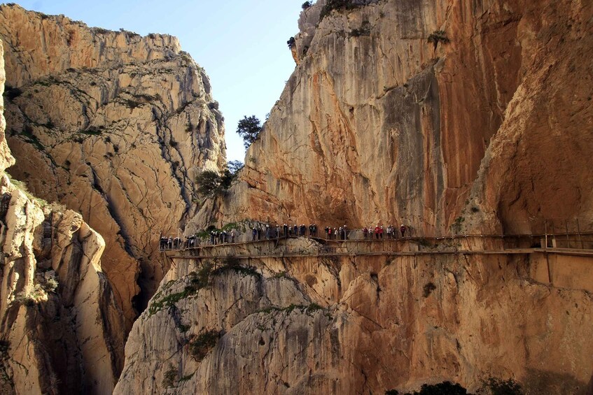 Picture 1 for Activity Costa del Sol: Caminito del Rey Guided Trip