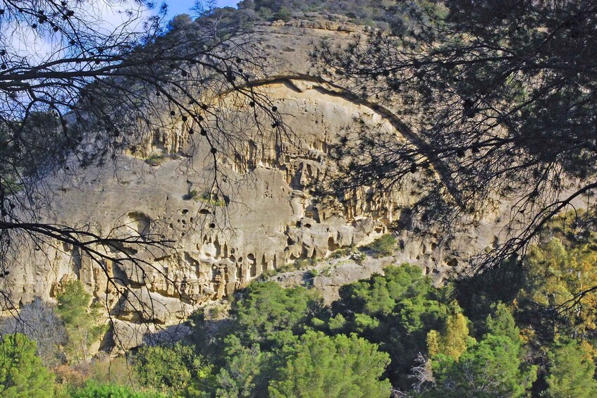 Picture 2 for Activity Costa del Sol: Caminito del Rey Guided Trip