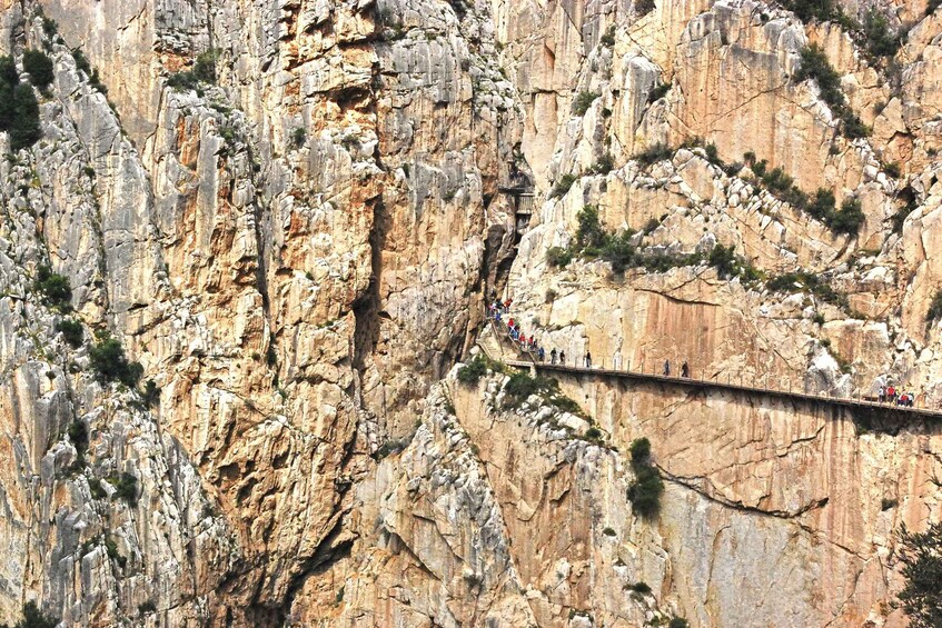 Picture 5 for Activity Costa del Sol: Caminito del Rey Guided Trip