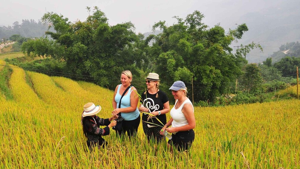 Picture 38 for Activity From Hanoi: Two-Day Sapa Tour with Fansipan Peak Visit